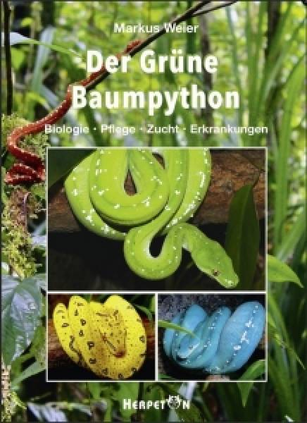 Der Grüne Baumython - Biologie, Pflege, Zucht und Erkrankungen